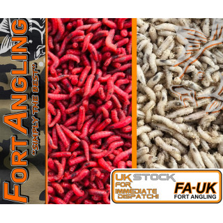 KNOCKERS WORMS - "MAGGOTS & PINKIES"