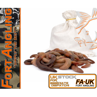 KNOCKERS WORMS - LOBWORMS (FISHING PACKS)