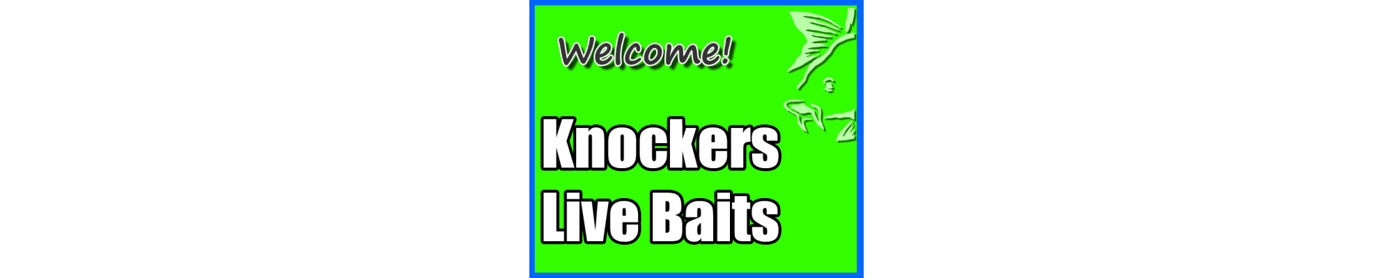 KNOCKERS LIVE BAITS